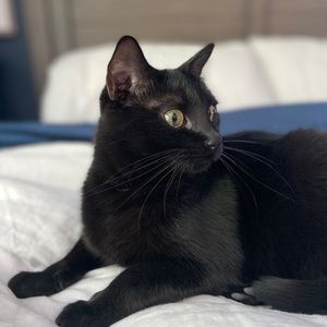 Meet your Posher, Kimberly